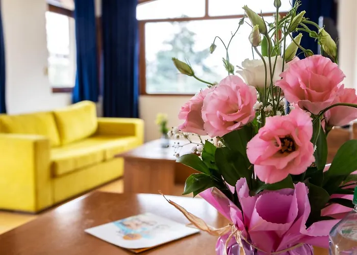 Complex Sunrise By Hmg 3* Сонячний Берег