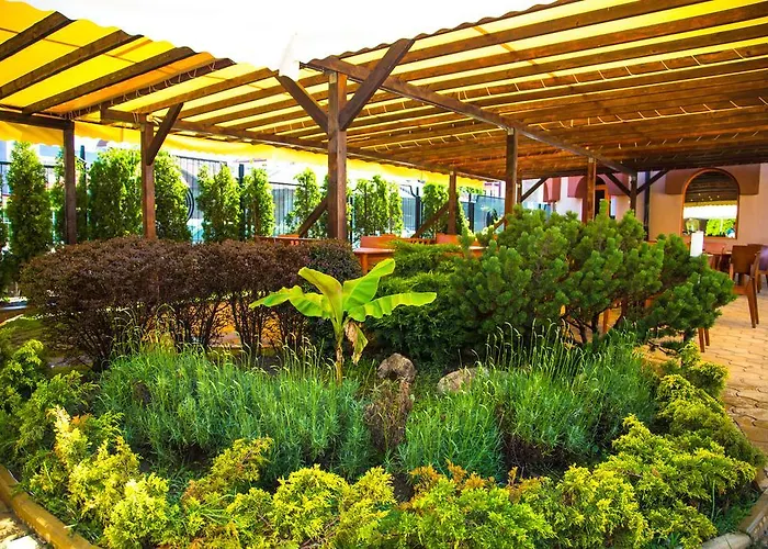 Complex Sunrise By Hmg サニービーチ