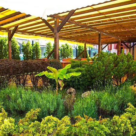 Complex Sunrise By Hmg Slantchev Briag